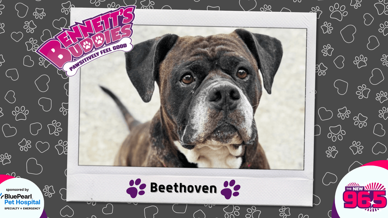Meet Beethoven! Bennett's Buddies at the PSPCA