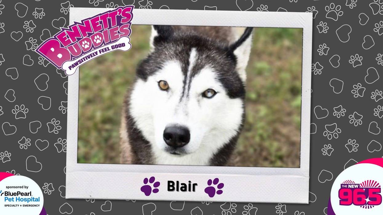 Meet Blair! Bennett's Buddies at the PSPCA