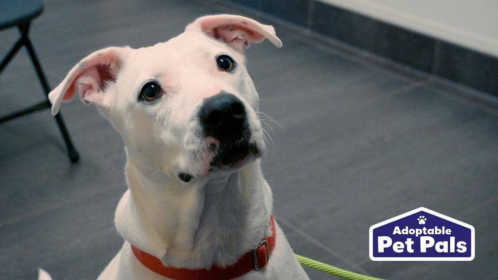 Meet Ella, our featured