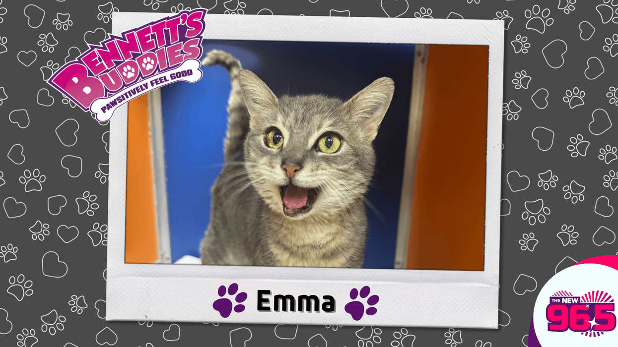 Meet Emma! Bennett's Buddies at the PSPCA