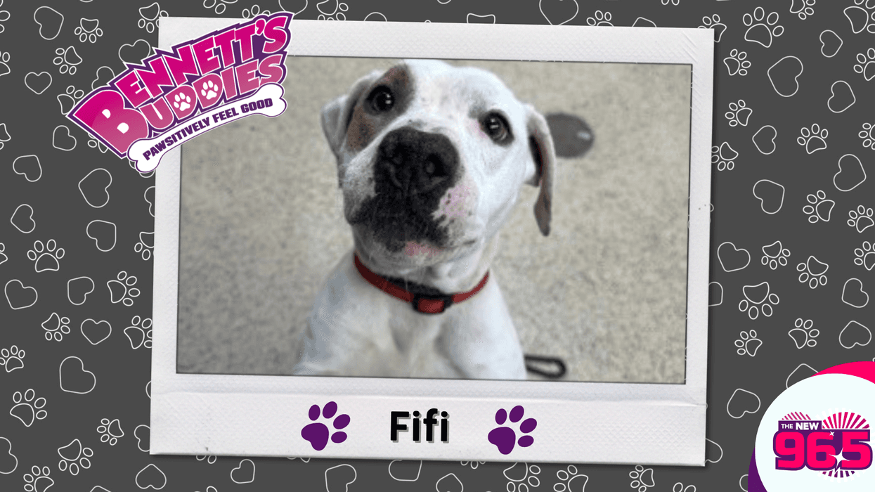 Meet Fifi! Bennett's Buddies at the PSPCA