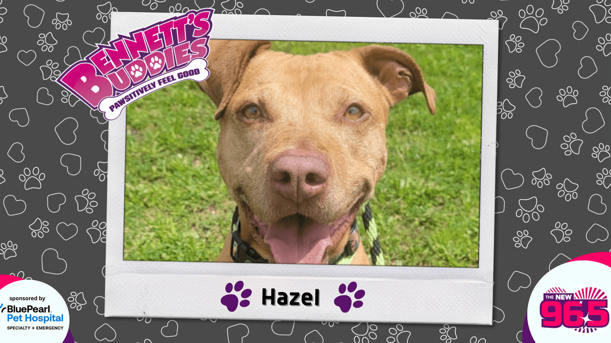 Meet Hazel! Bennett's Buddies at the PSPCA