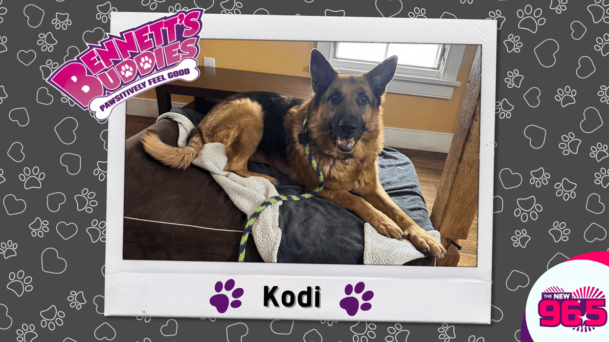 Meet Kodi! Bennett's Buddies at the PSPCA (Main Line Animal Rescue Edition)