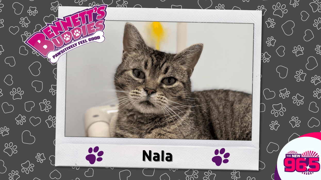 Meet Nala! Bennett's Buddy of the Week
