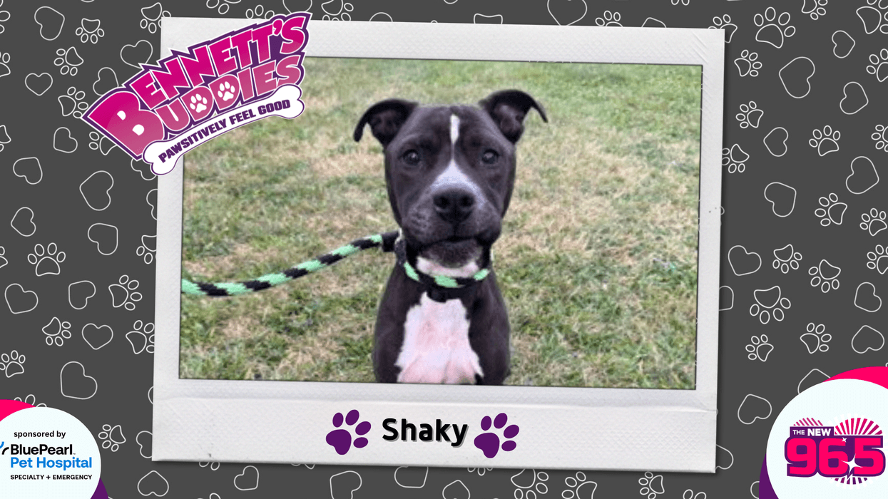 Meet Shaky! Bennett's Buddies at the PSPCA