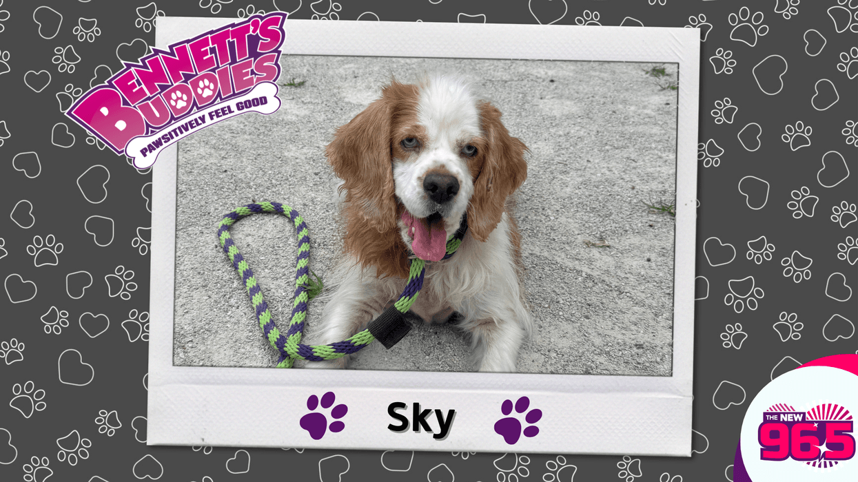 Meet Sky! Bennett's Buddies at the PSPCA