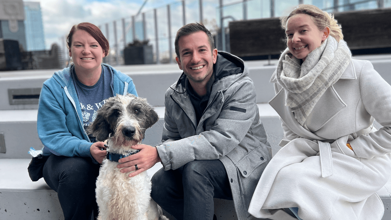 Meet Spade, Bennett & Raven's PSPCA Pet of the Week