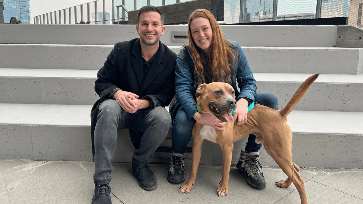 Meet Thor, Bennett & Raven's PSPCA Pet of the Week