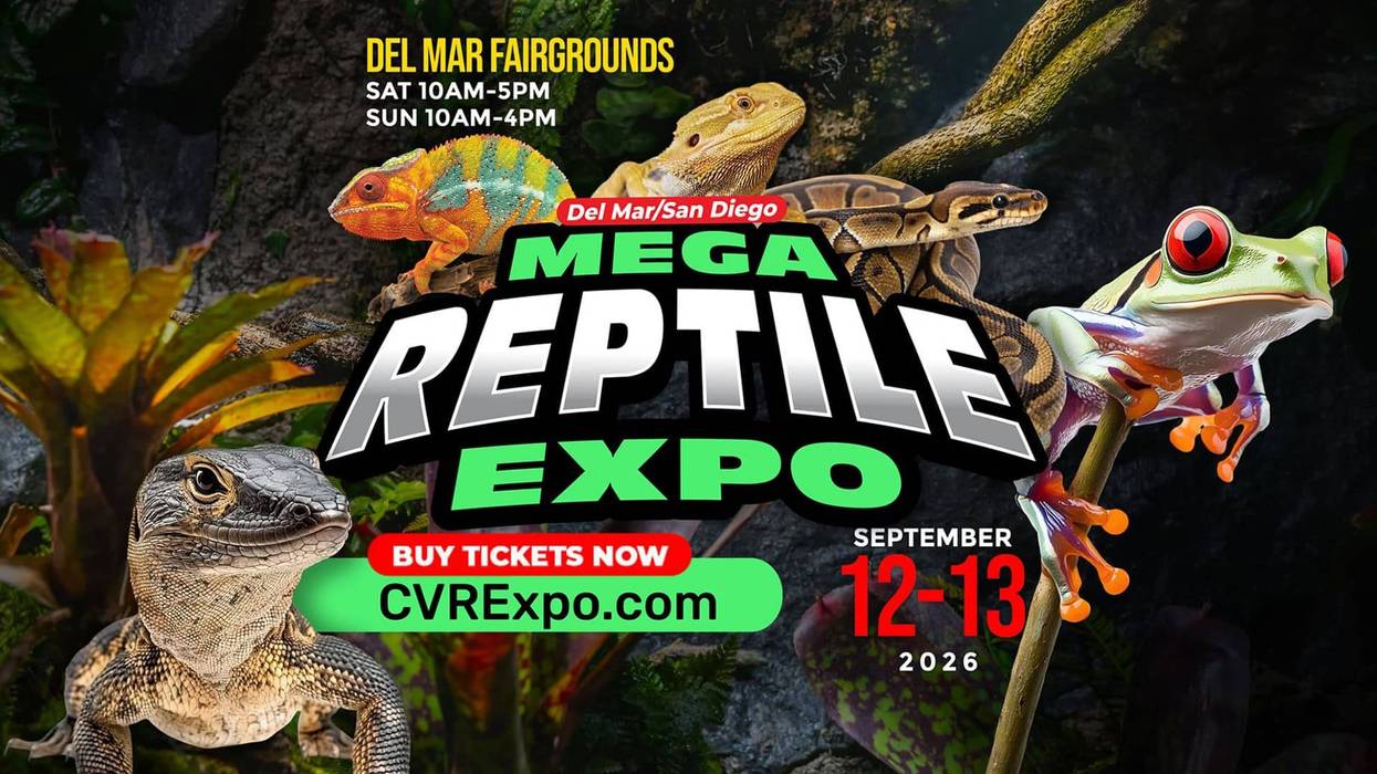Mega Reptile Expo