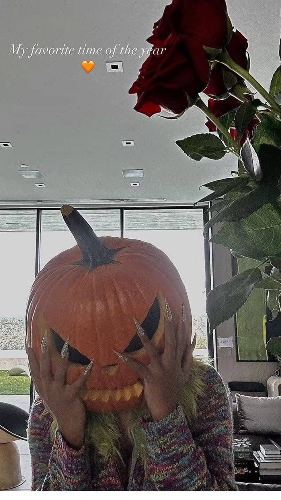 Megan Thee Stallion IG story