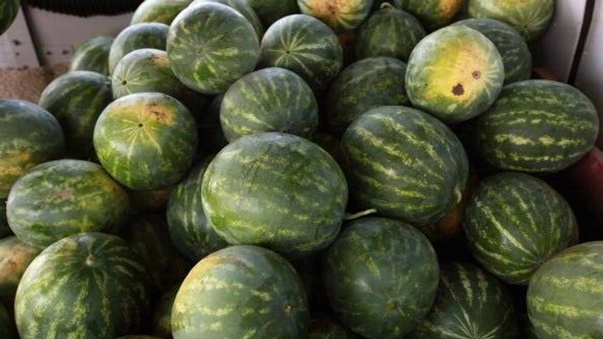 Melons