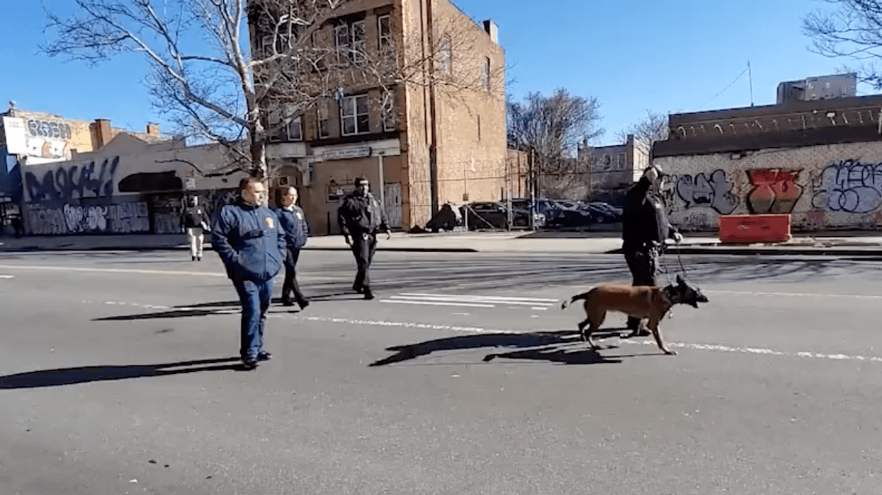 Members of the NYPD, including police dogs, search the area where the dismembered woman's body was found Thursday