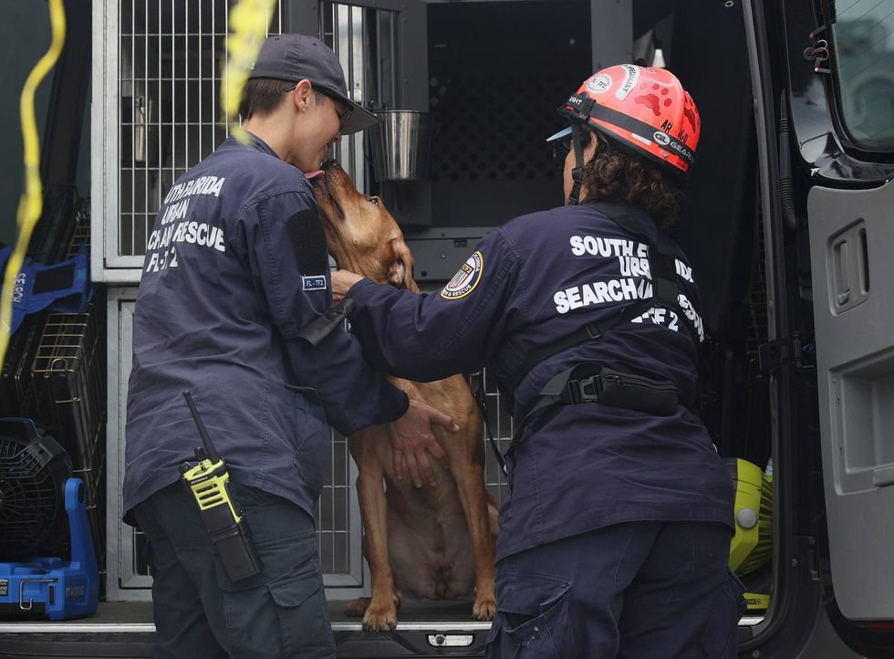 Members of the South Florida Urban Search and Rescue team are greeted by a dog.