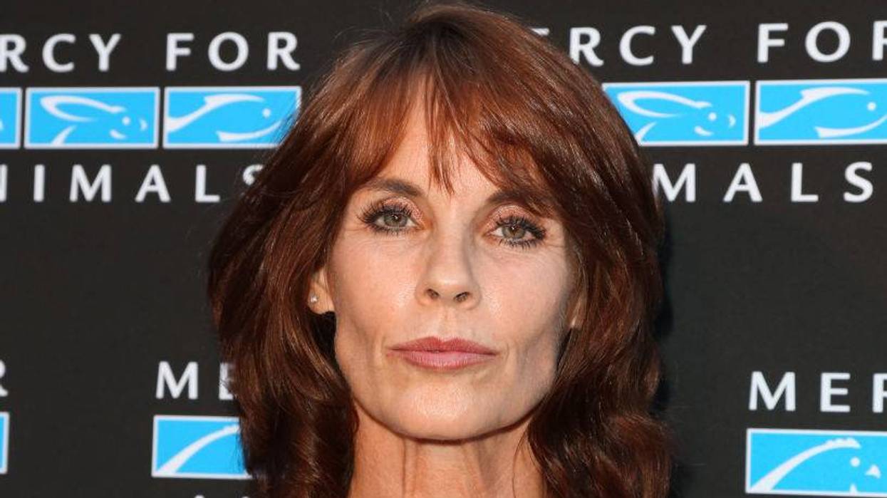 Mercy For Animals Presents Hidden Heroes Gala 2018 - Arrivals