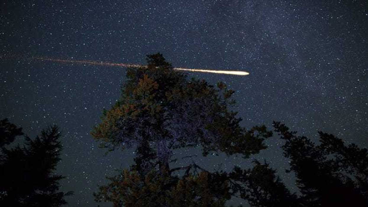 Meteor shooting across sky over treetops