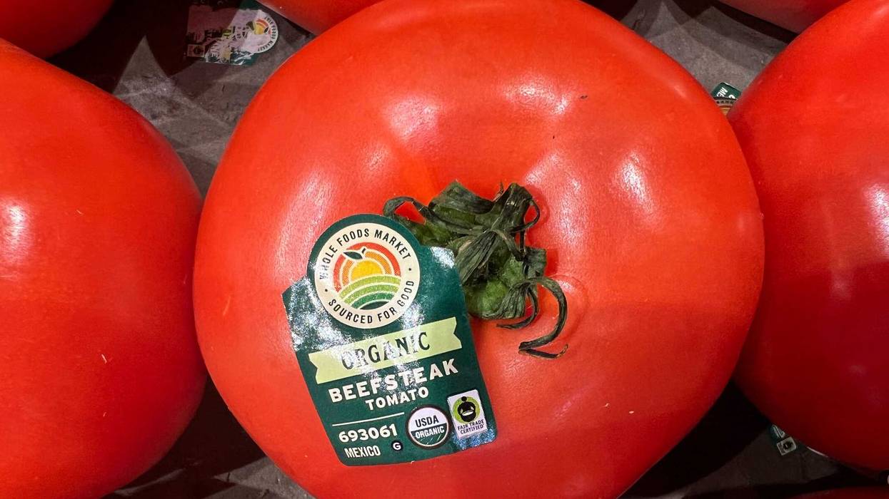Mexican Tomatoes Tariffs