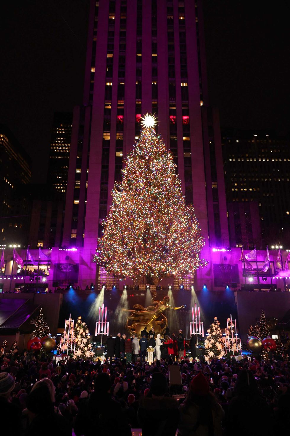 Michael Loccisano/Getty Images