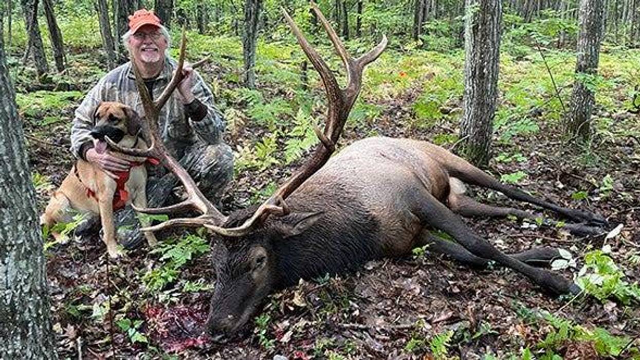 Michigan elk hunt
