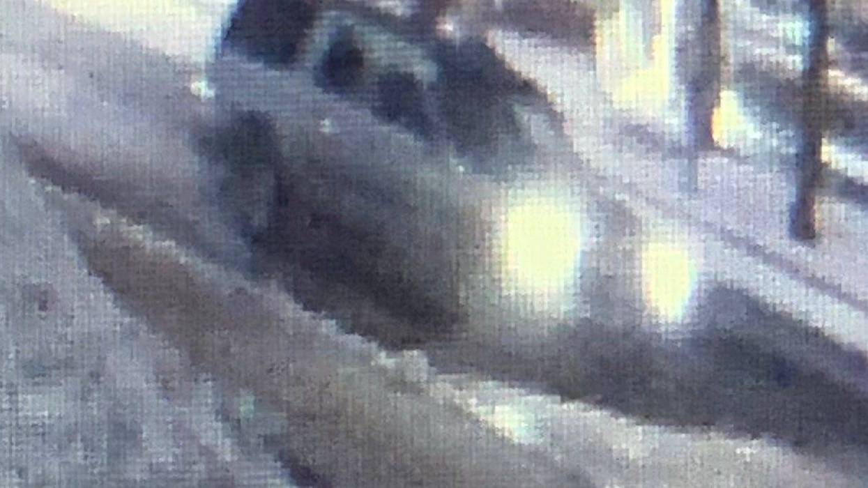 Michigan State Police are searching for a driver who hit a man with their vehicle before fleeing the scene in Vermontville, southwest of Lansing.