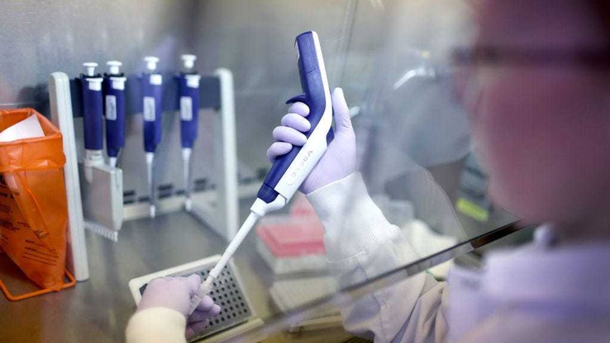 Microbiologist Anne Vandenburg-Carroll tests poultry samples collected from a farm located in a control area for the presence of avian influenza, or bird flu, at the Wisconsin Veterinary Diagnostic Laboratory at the University of Wisconsin-Madison on March 24, 2022 in Madison, Wisconsin.