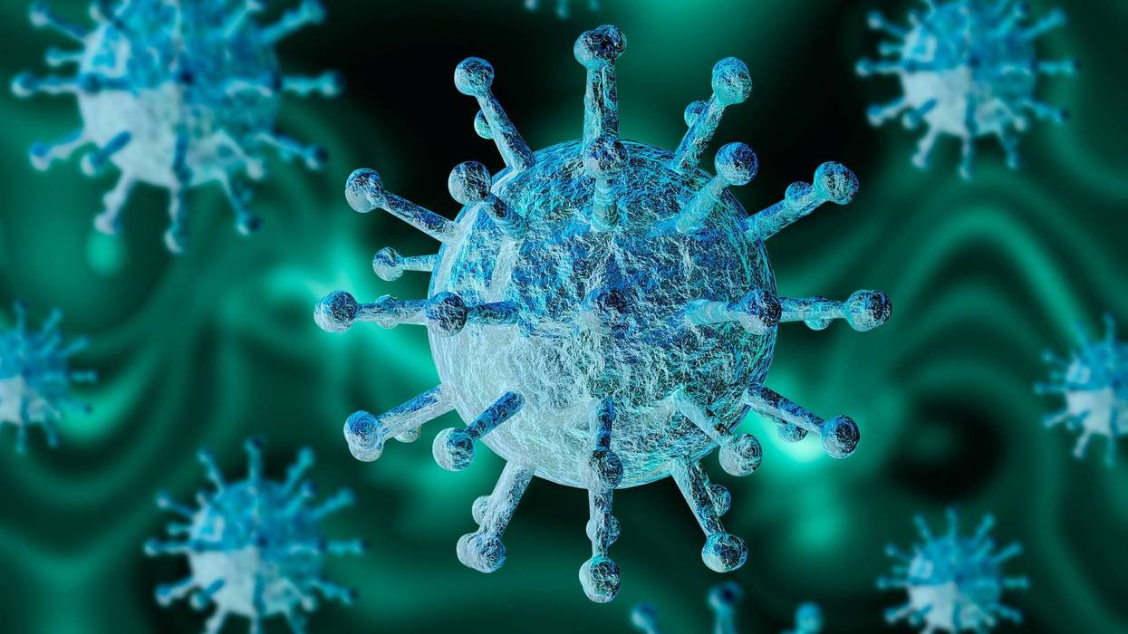 microscopic magnification of coronavirus