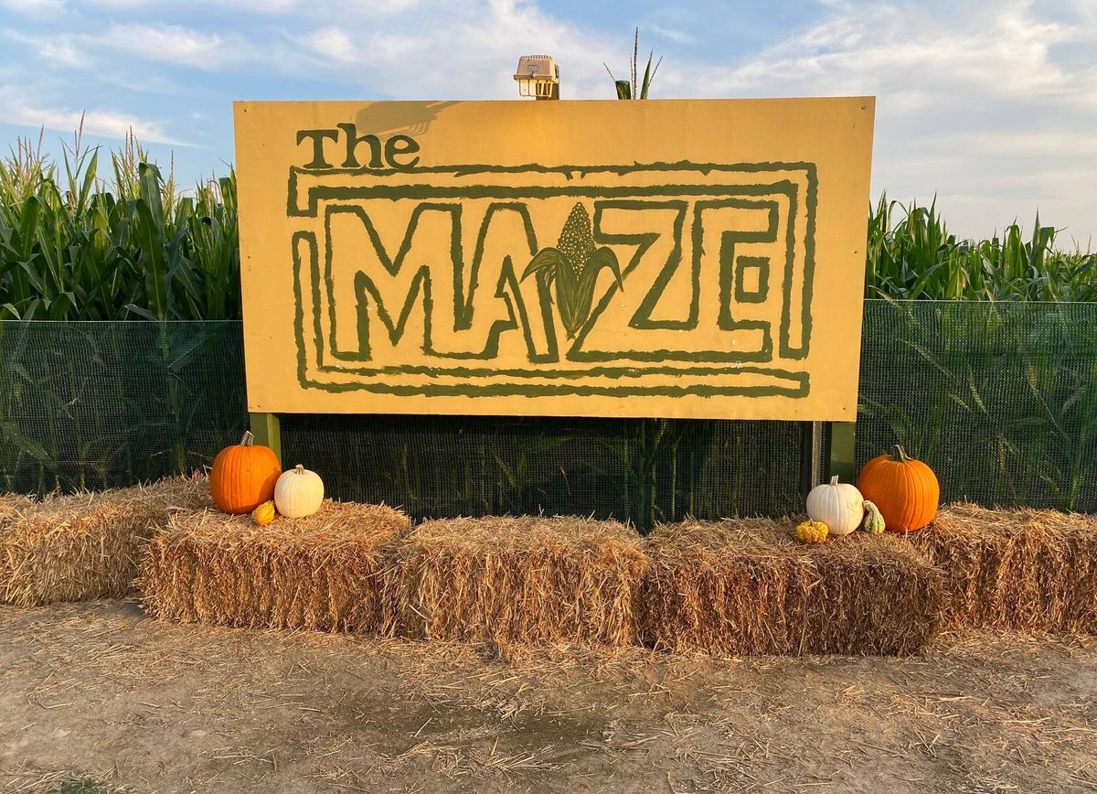 Mid-South Maze