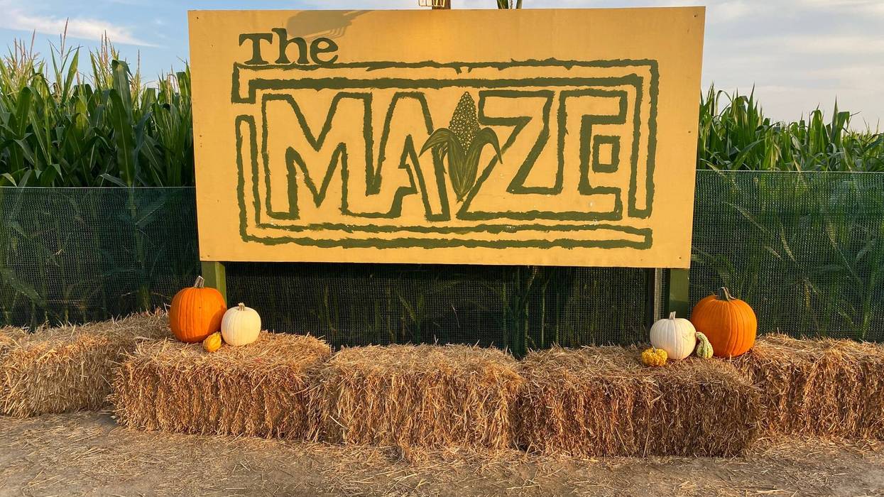 Mid-South Maze