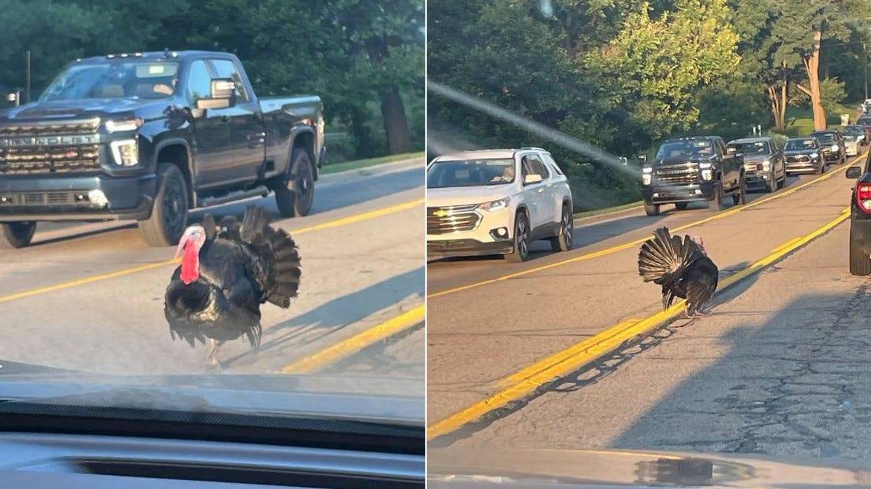 middle school turkey trouble