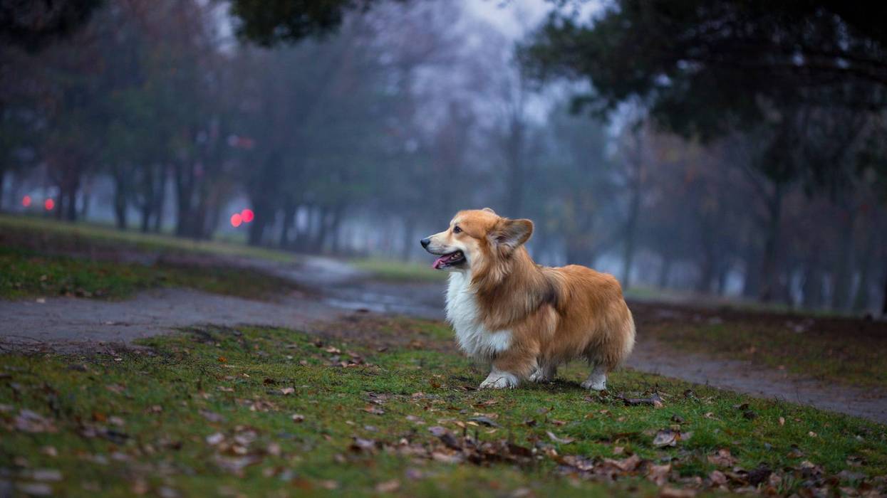 Mild and muggy for the first weekend of 2026