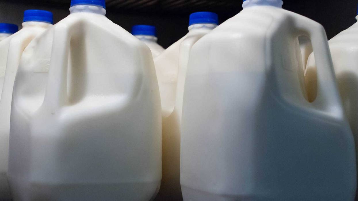 Milk