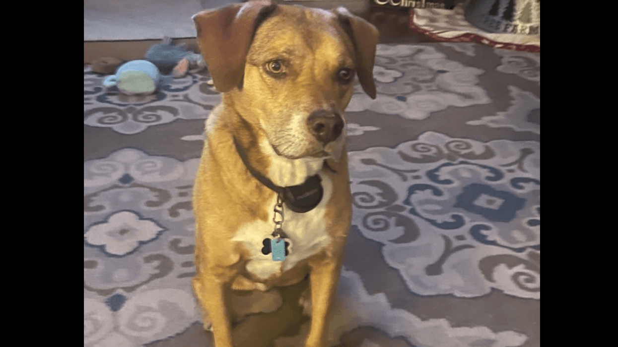 Milo