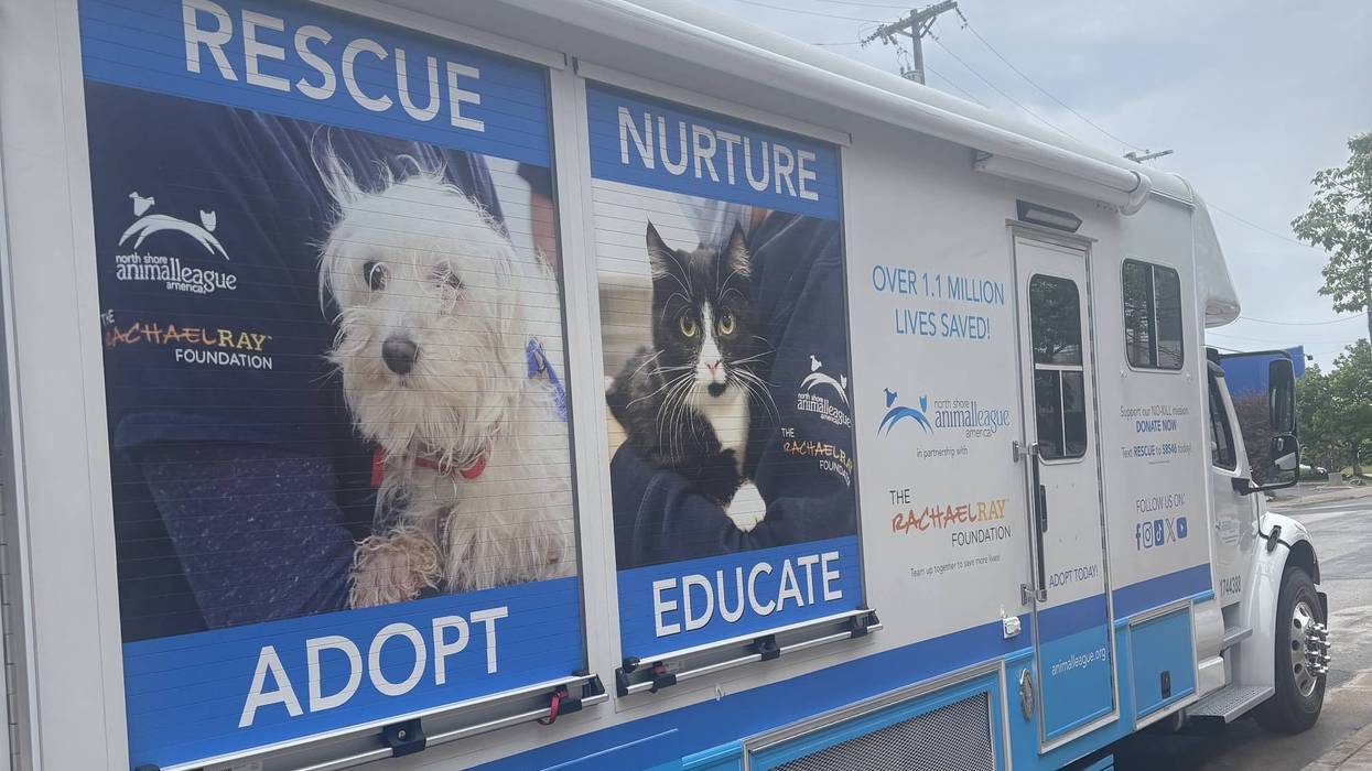 Minneapolis Animal Care and Control touring their facility to help homeless pets