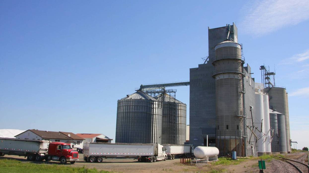 Minnesota Farmers Union President Gary Wertish told Susie Jones that President Trump's policies are pushing many farmers to the brink financially.
