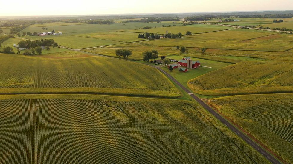 Minnesota is a major agricultural powerhouse, ranking high nationally in crop and livestock production and exports. The state