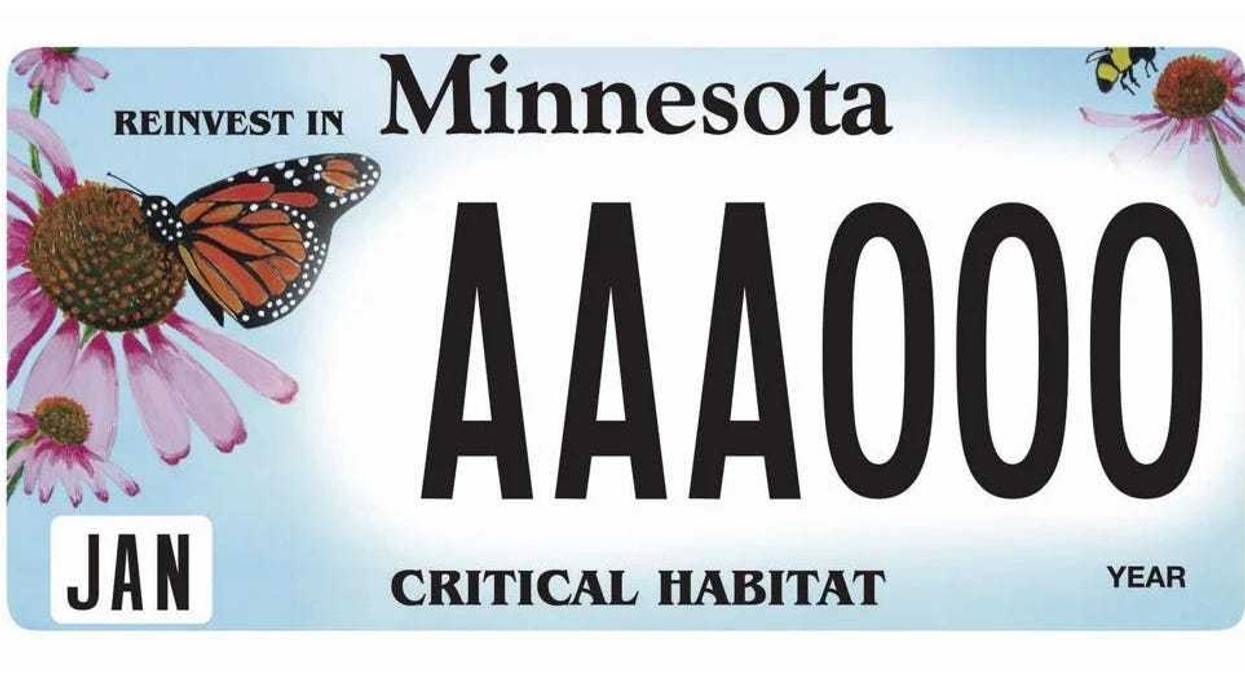 Minnesota, License Plate, Pollinator, Bee