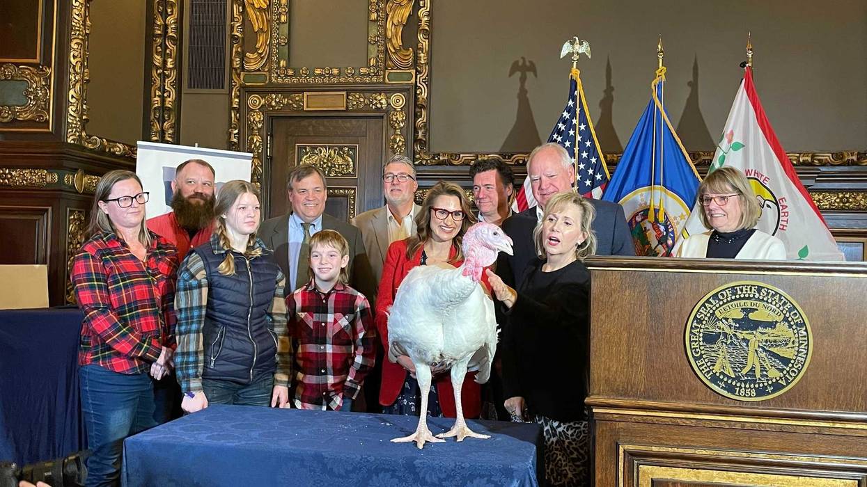 Minnesota's Thanksgiving turkey.