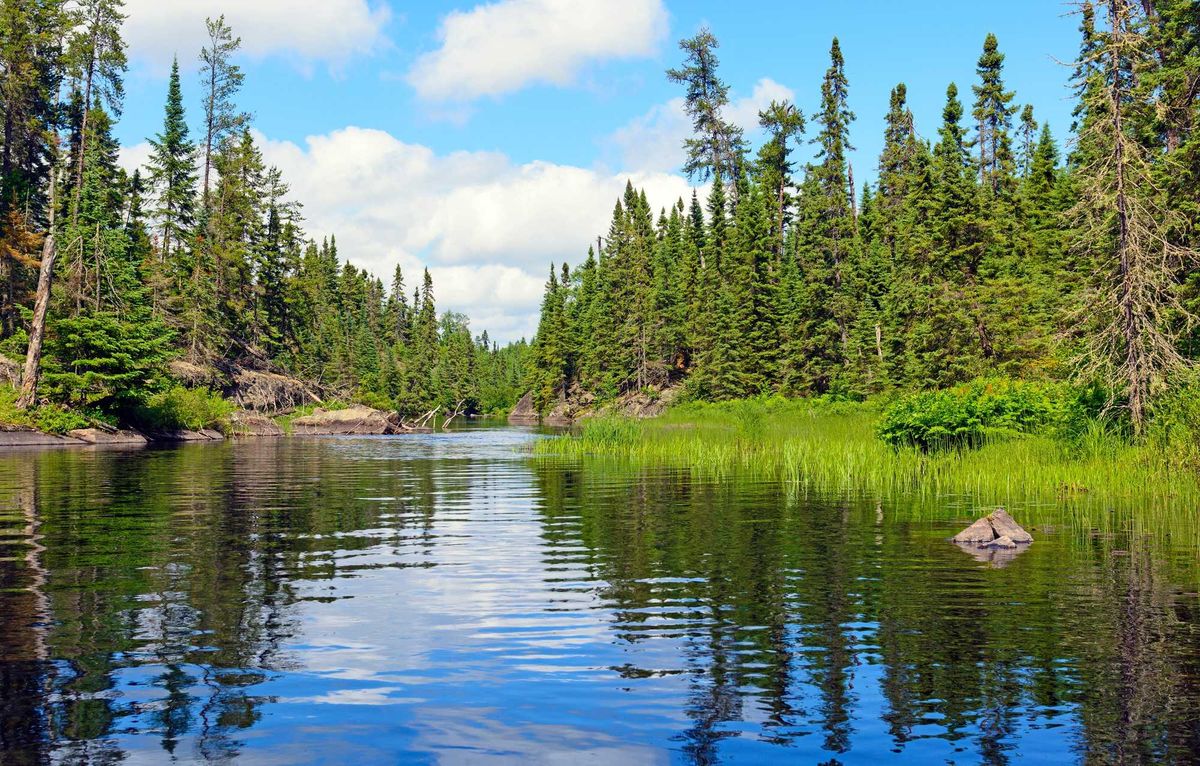 Minnesota, Wetlands, BWCA, Boundary Waters