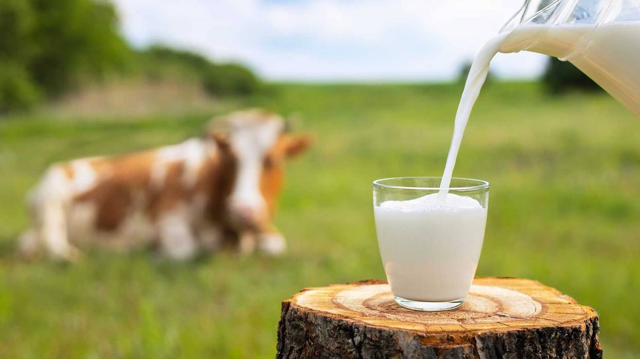 Minnesota will begin testing raw milk for bird flu starting next week.