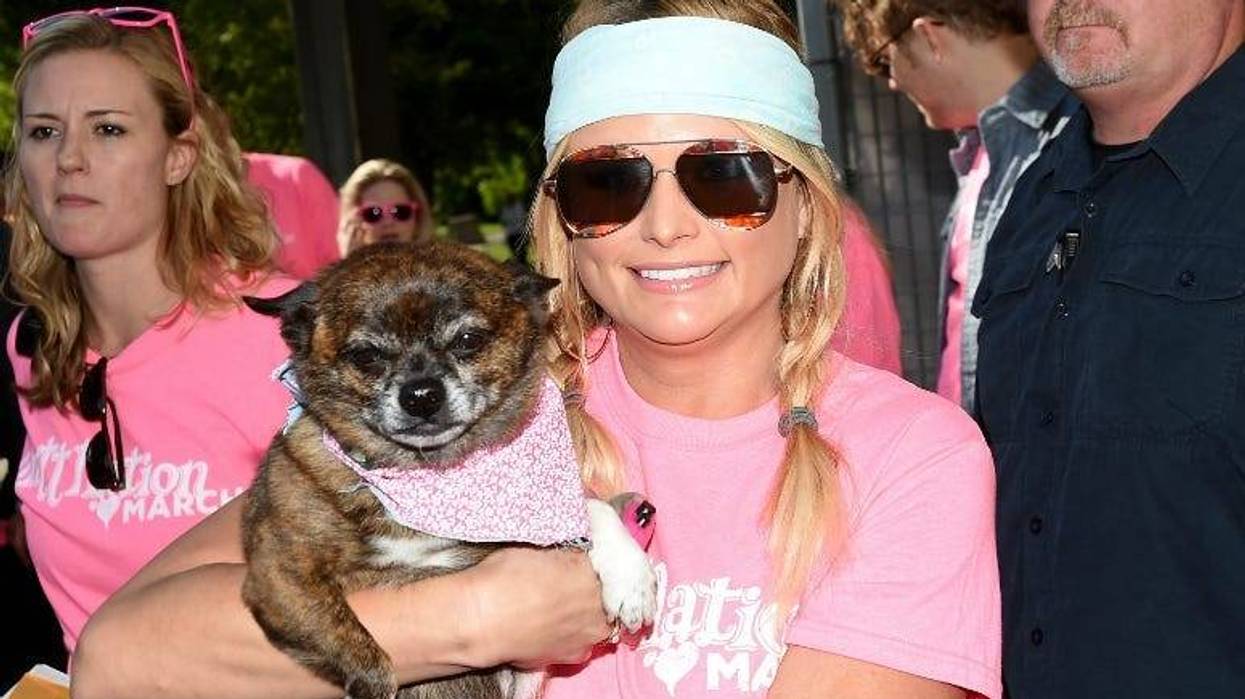 Miranda Lambert attends the Miranda MuttNation March at Nissan Stadium on June 8, 2017 in Nashville, Tennessee