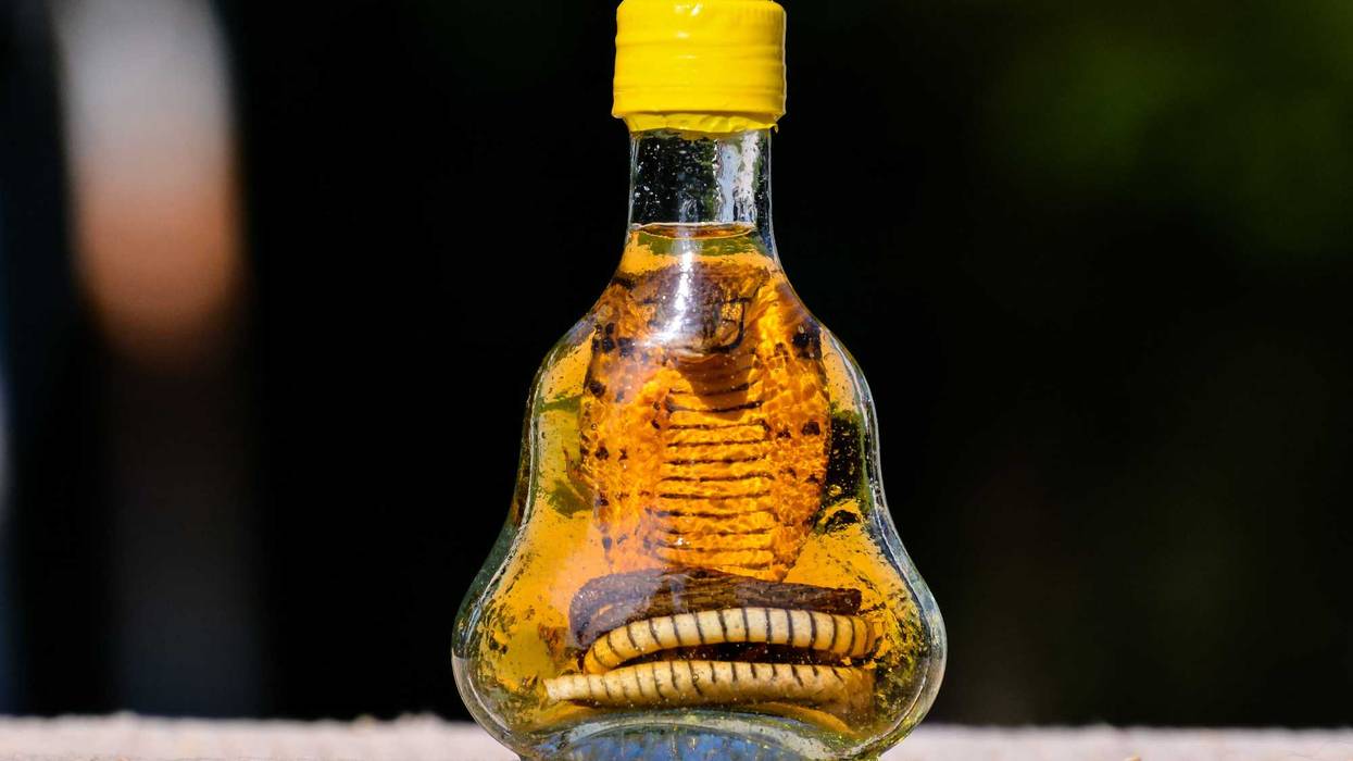 Misinformation has contributed to the increase of people ingesting dangerous substances in an attempt to cure COVID-19.