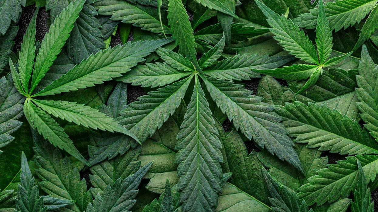 Missouri voters to weigh forgiveness for past weed crimes
