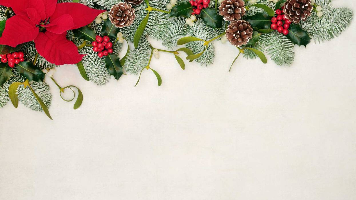 Mistletoe, poinsettia and other holiday plants in an arrangement.