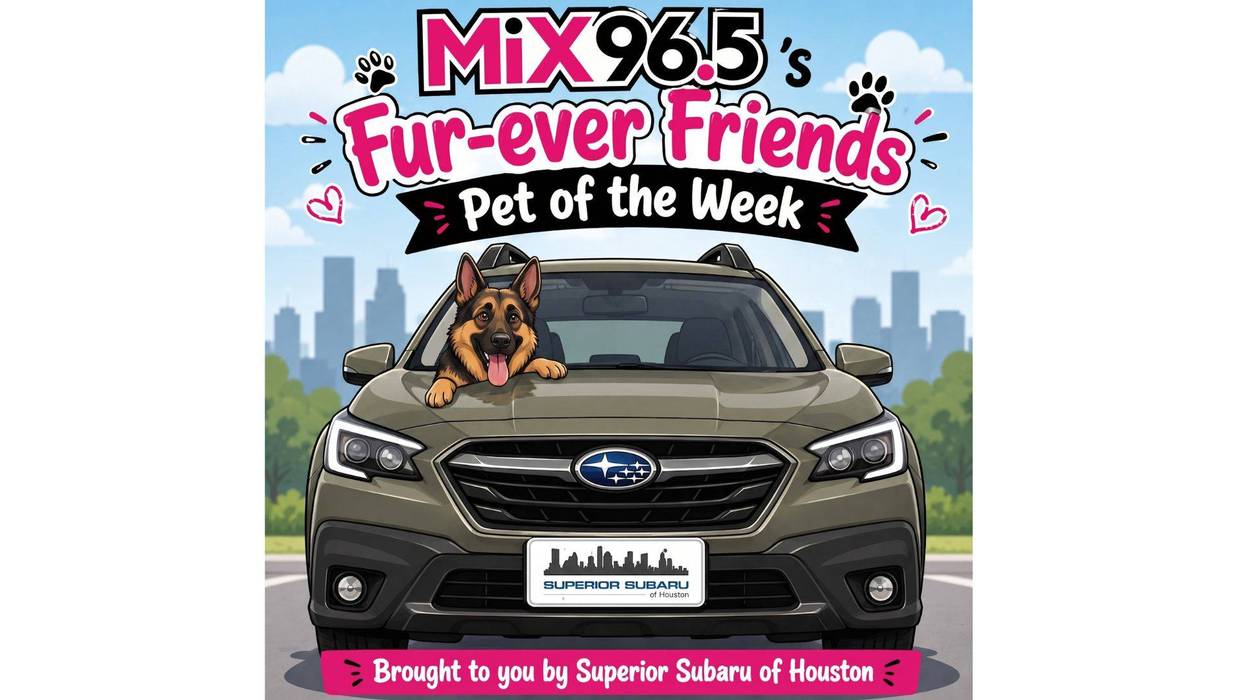 Mix 96.5 Fur-Ever Friends Pet of the Week