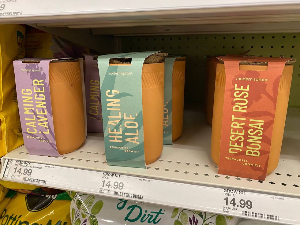 Modern Sprout lavender, aloe vera, and bonsai grow kits on shelf at Target