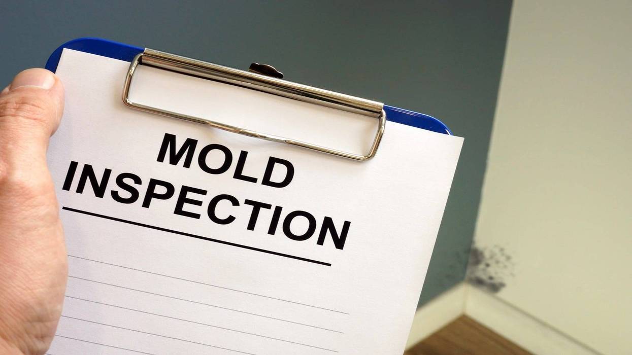 Mold inspection paperwork on clipboard - stock photo