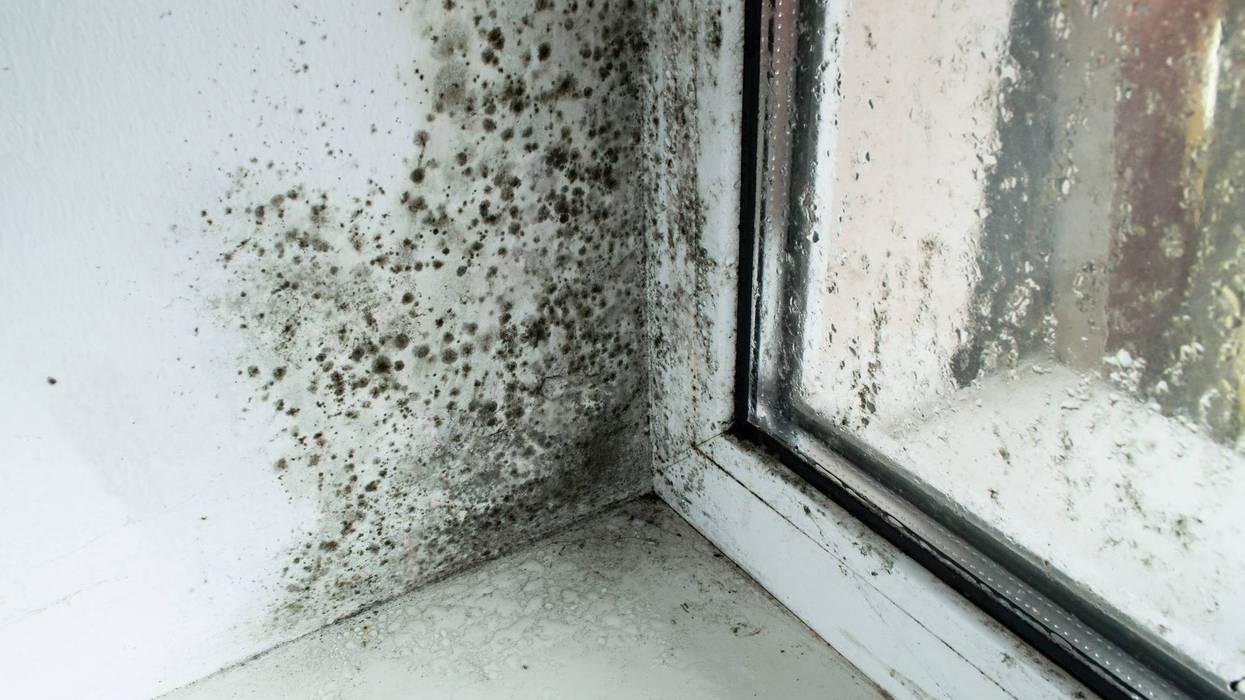 Mold