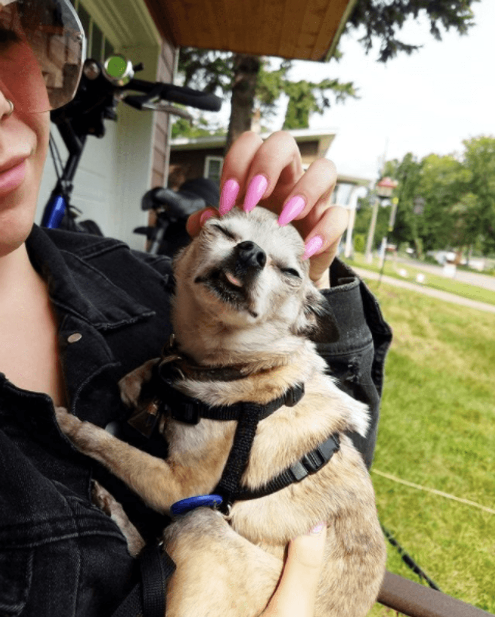 Mollie petting her dog with long fingernails