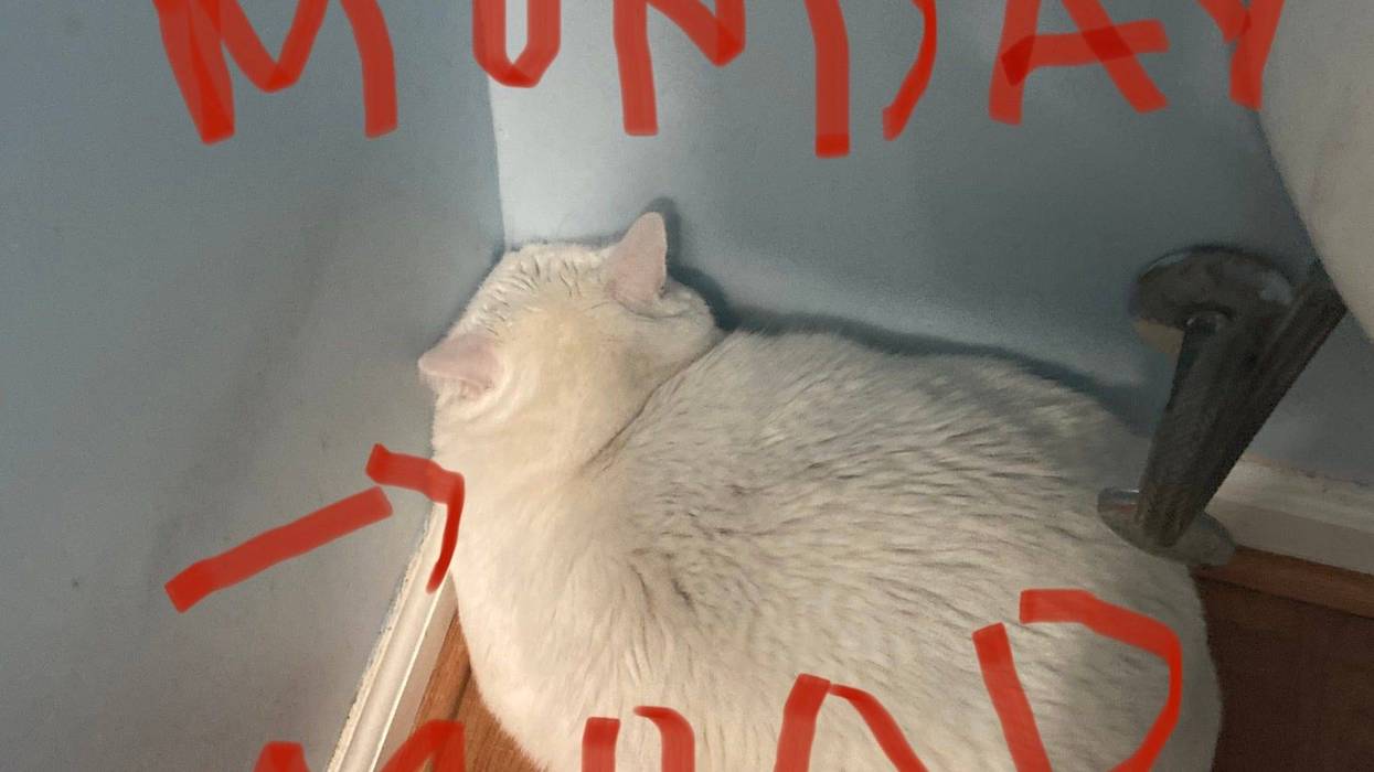 Monday Mood