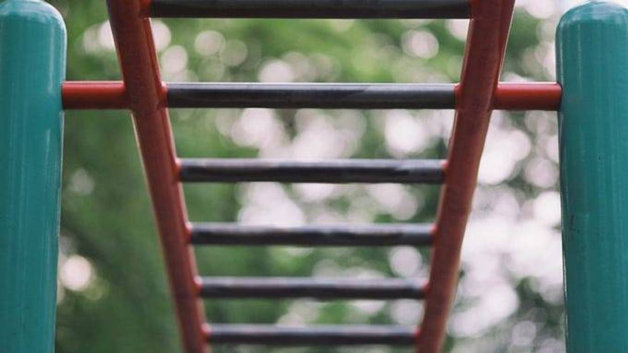 Monkey Bars at Playground
