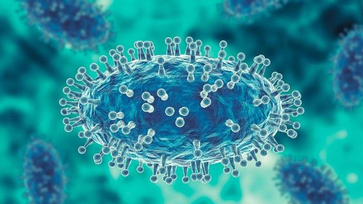 Monkeypox virus is a smallpox-like viral infection transmitted from animals to humans. 3D illustration